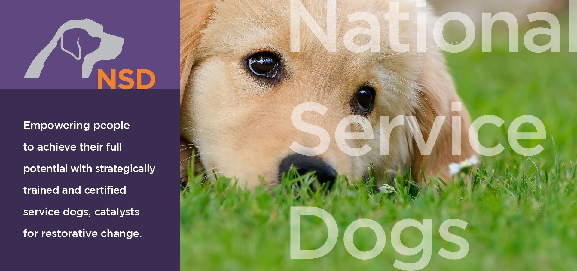 national service dog